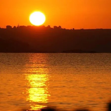 Irene * Arenella (Syracuse)